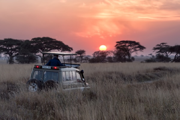 Kenyan wilderness